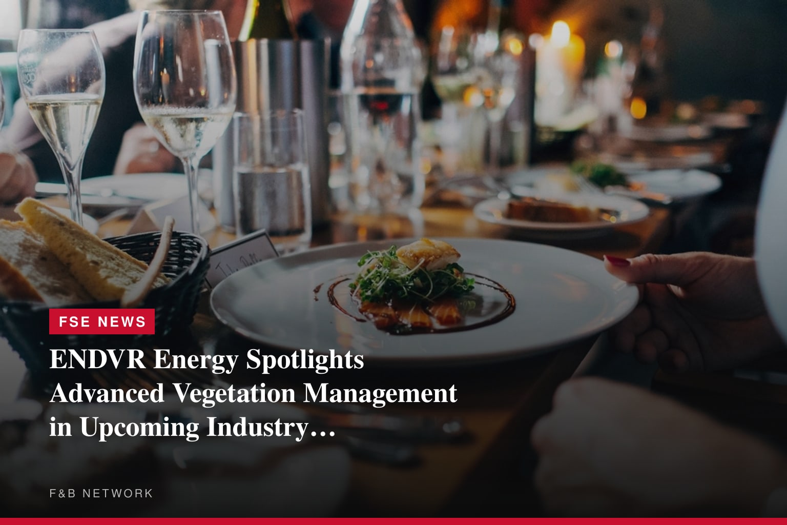 ENDVR Energy Spotlights Advanced Vegetation Management in Upcoming Industry Session Featuring Jason Edwards